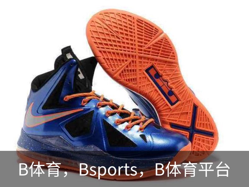 B体育，Bsports，B体育平台简介